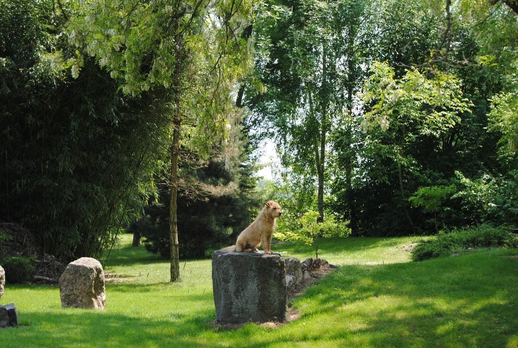 Villa Hedi Panzió Dunakiliti Exterior foto