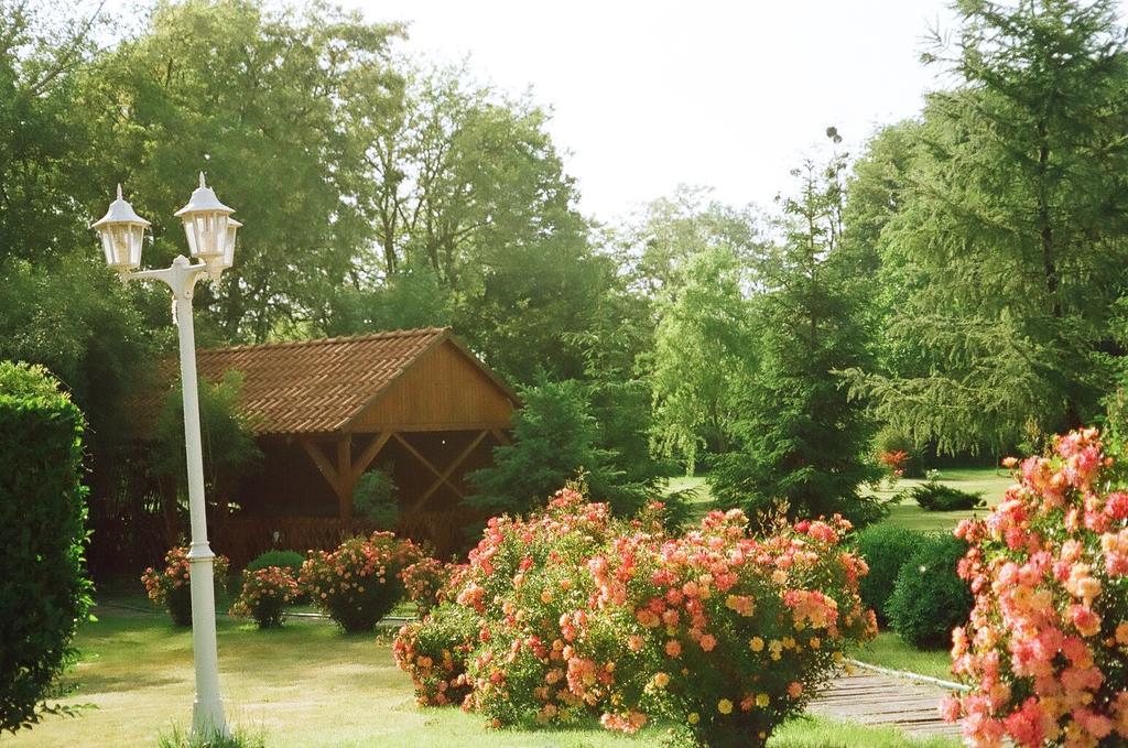 Villa Hedi Panzió Dunakiliti Exterior foto