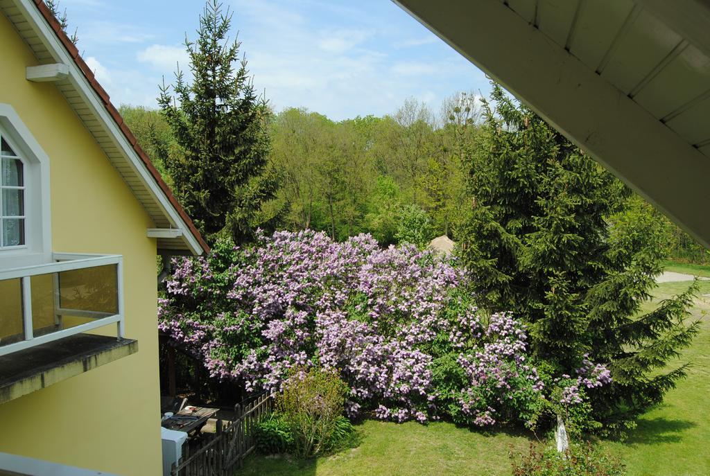 Villa Hedi Panzió Dunakiliti Exterior foto