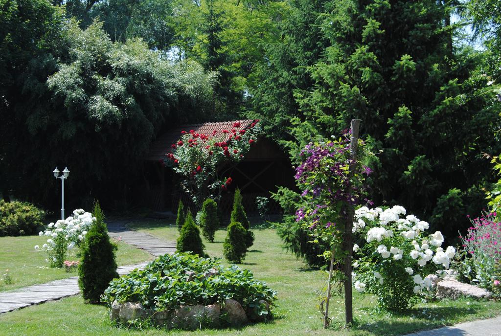 Villa Hedi Panzió Dunakiliti Exterior foto