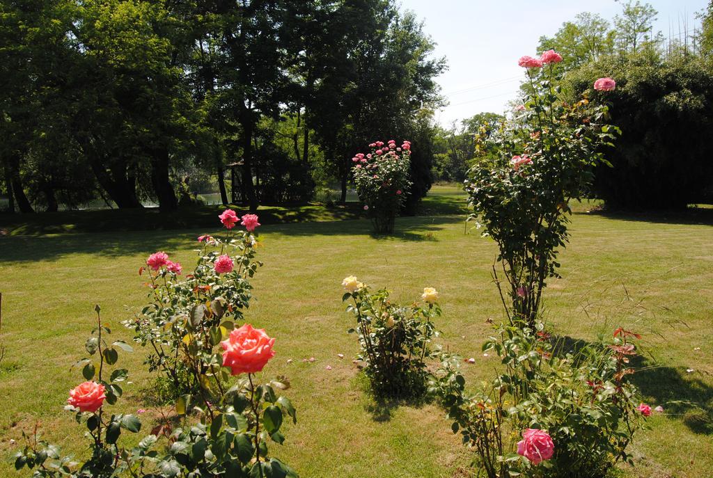 Villa Hedi Panzió Dunakiliti Exterior foto
