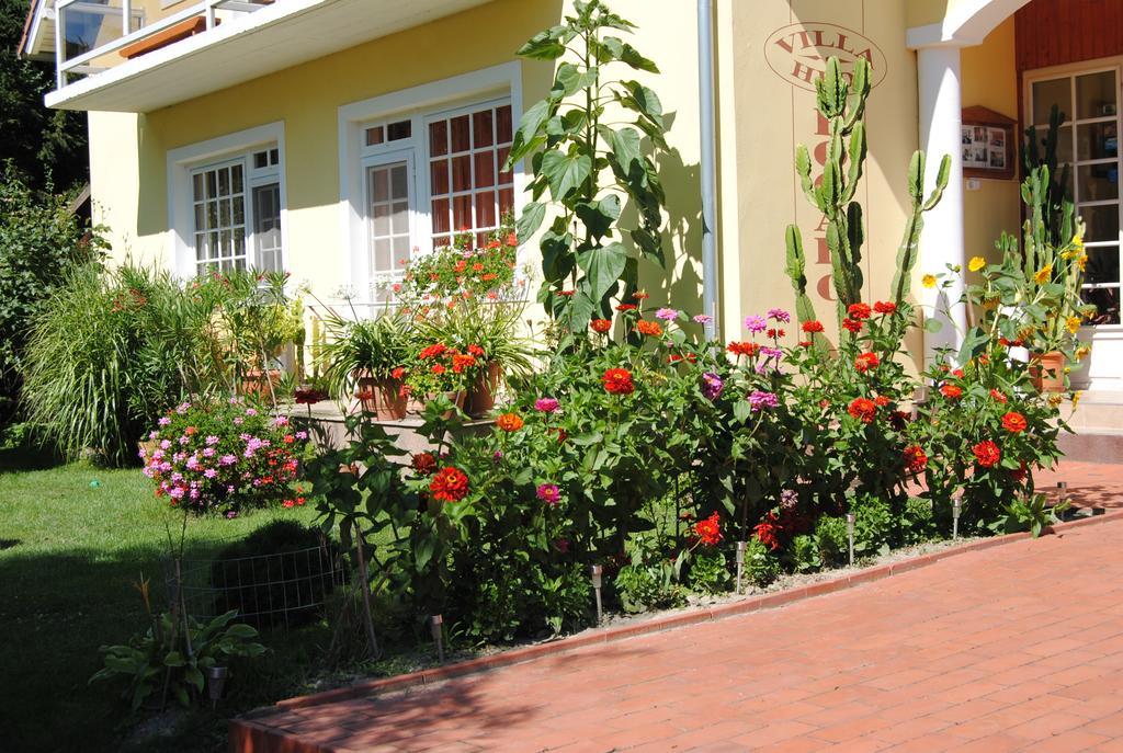 Villa Hedi Panzió Dunakiliti Exterior foto