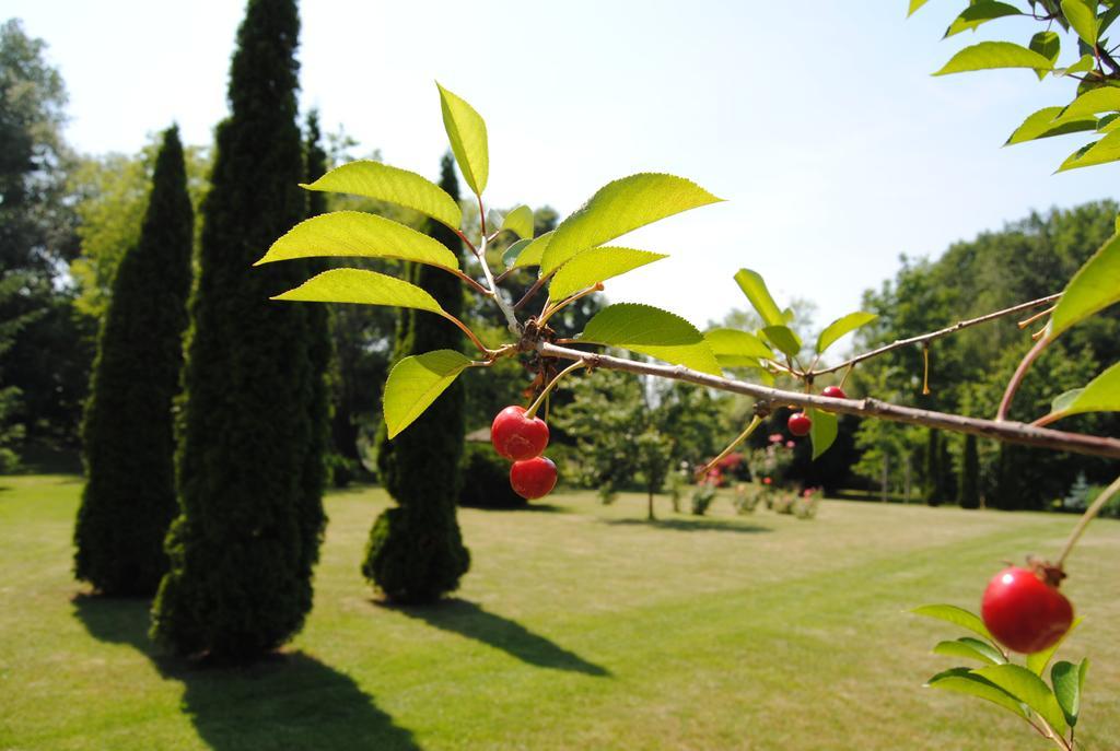 Villa Hedi Panzió Dunakiliti Exterior foto