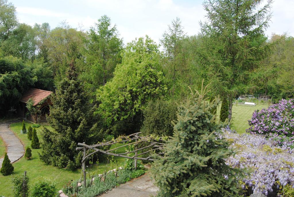 Villa Hedi Panzió Dunakiliti Exterior foto